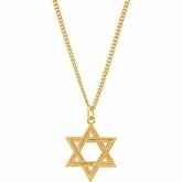 24kt Gold Plated Star of David Necklace